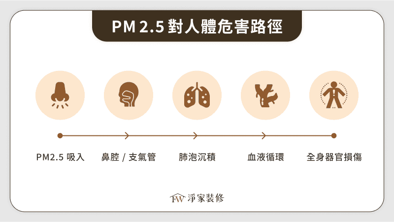 PM2.5對人體危害路徑